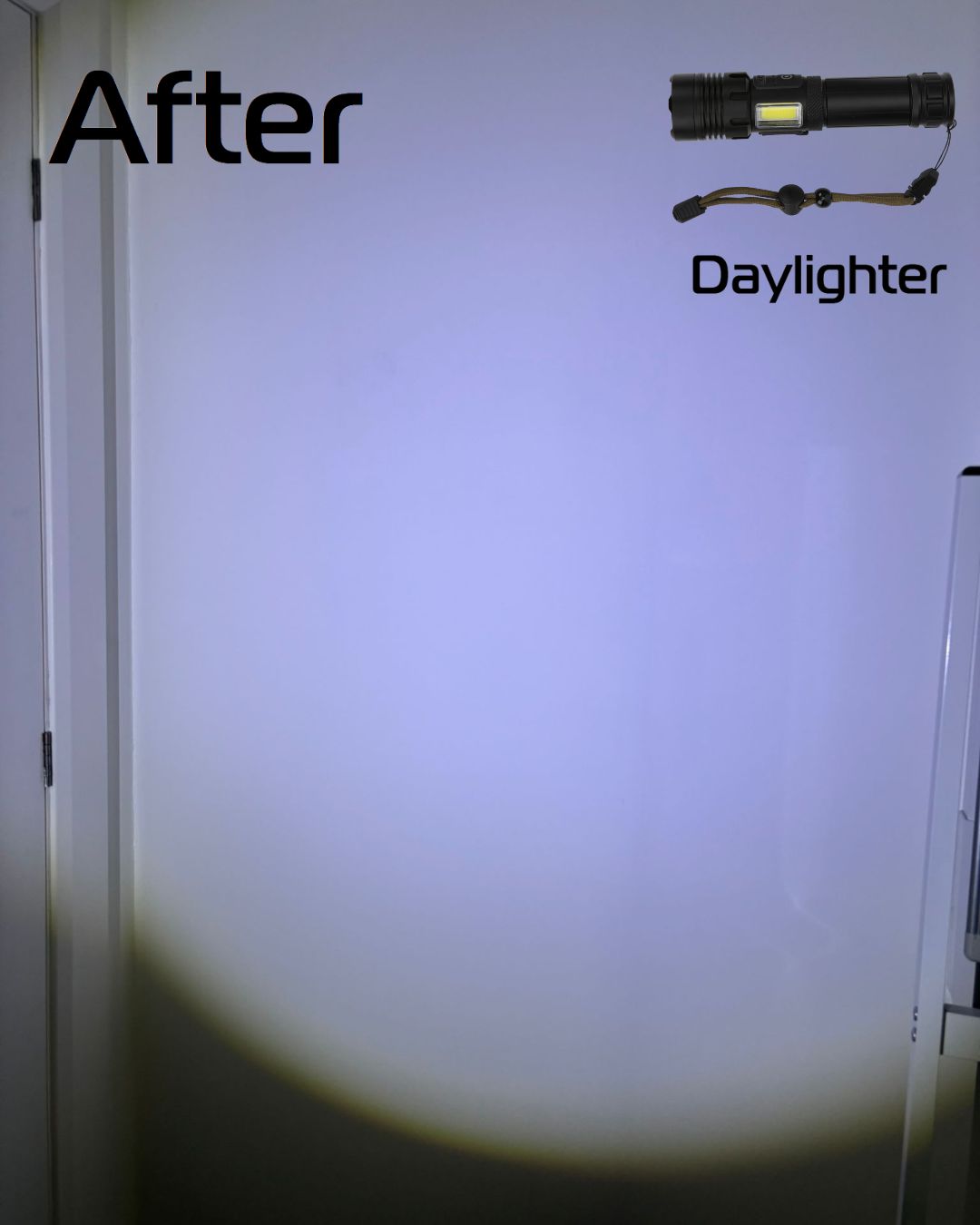 DayLighter™ Tactical Dual Torch With Case